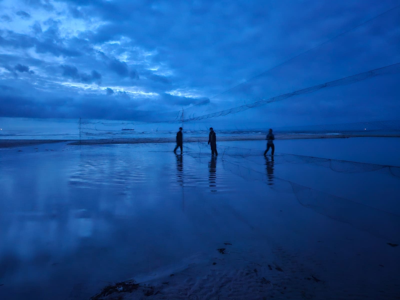 260613 grenen