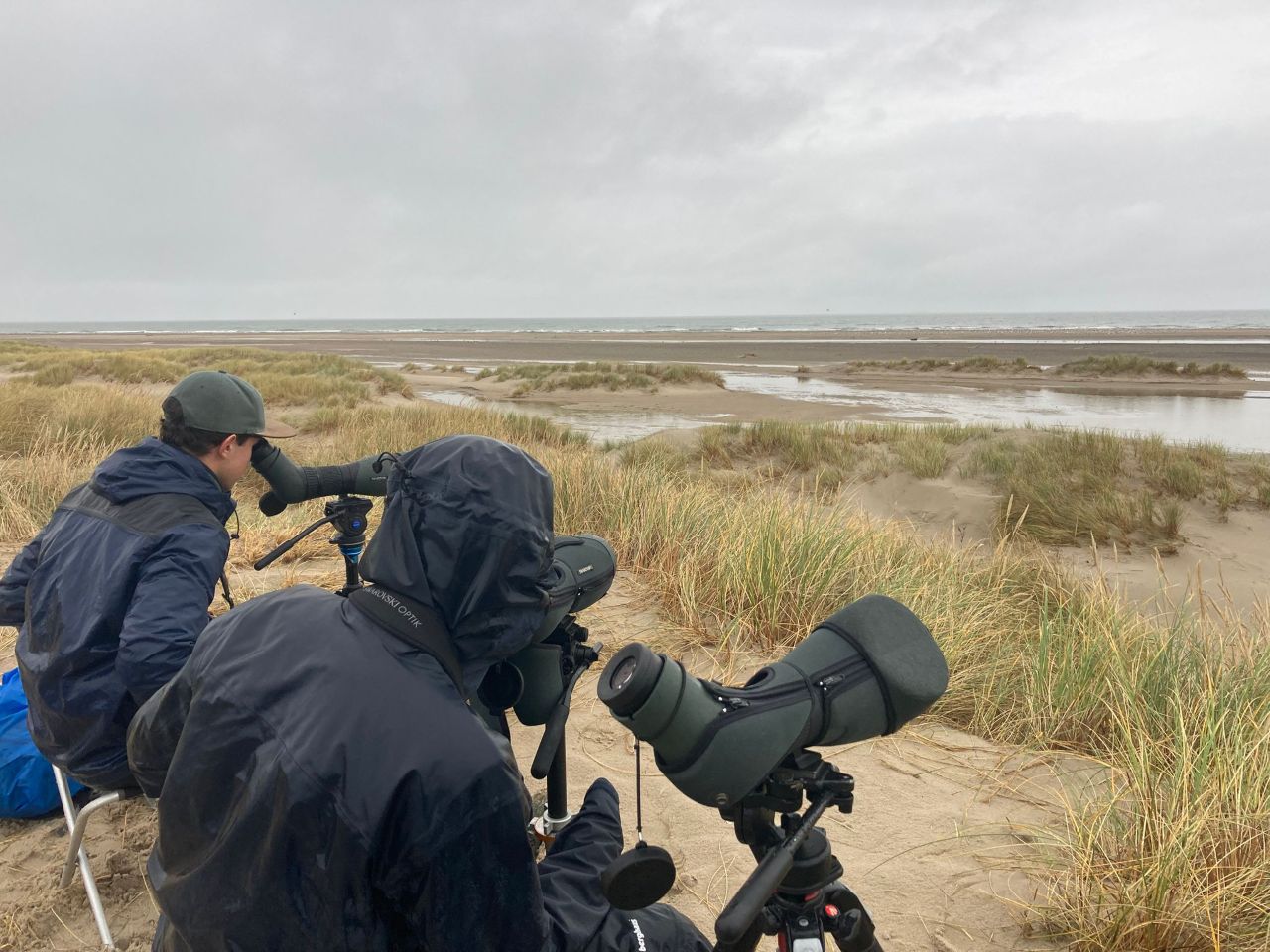 Observing 13 11 2025 Amira