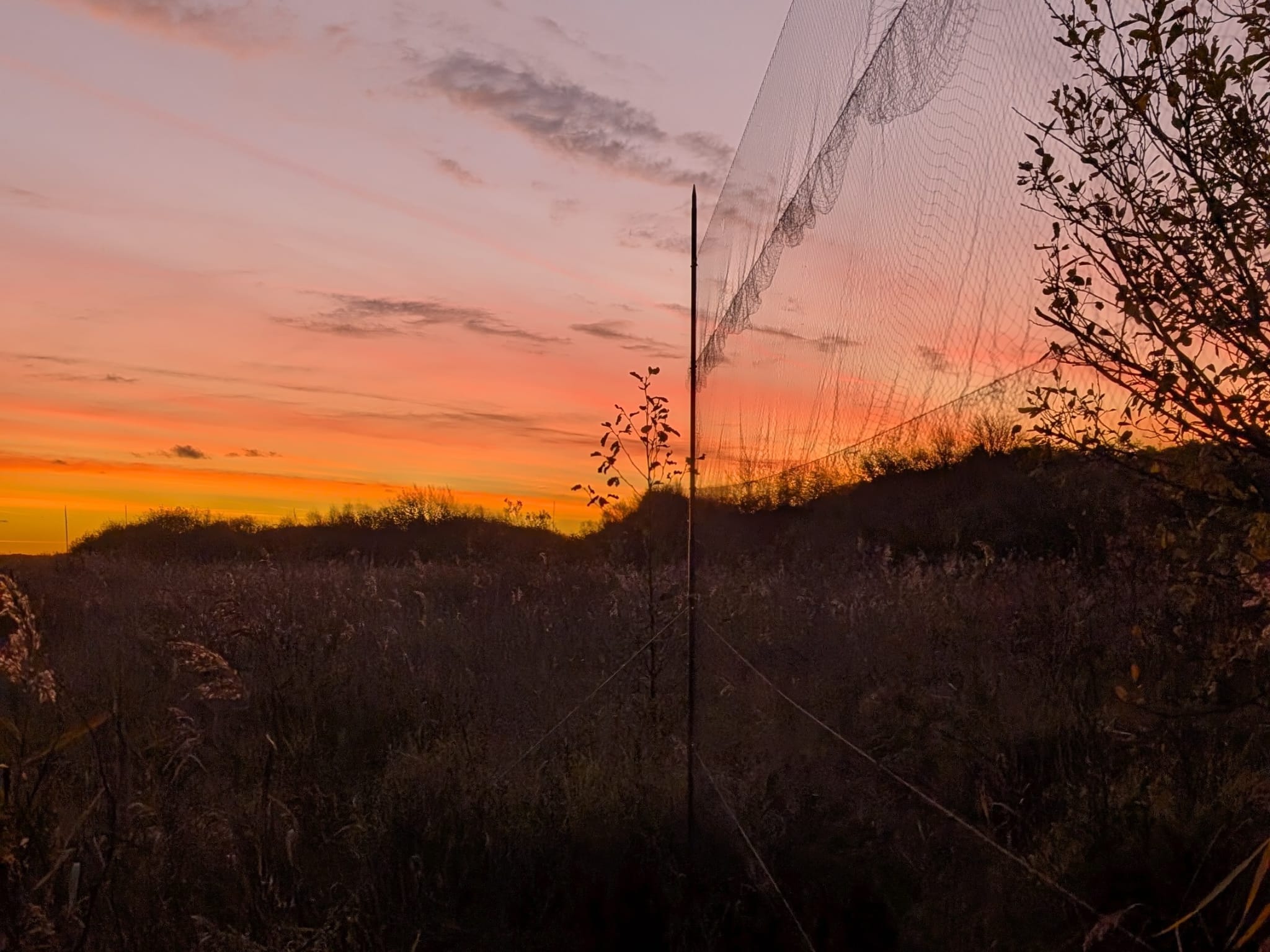 Sunrise net 31 10 2025