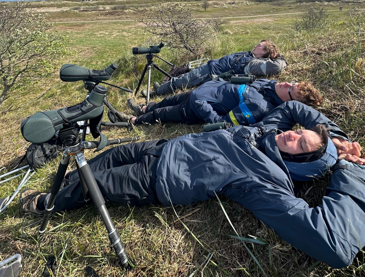 260515 napping Observers