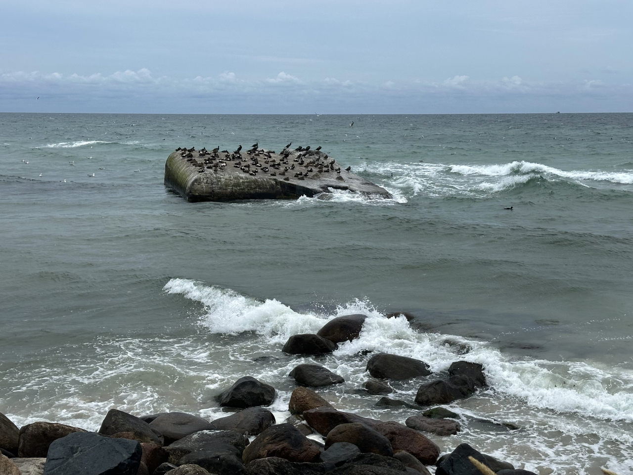 260702 seal bunker
