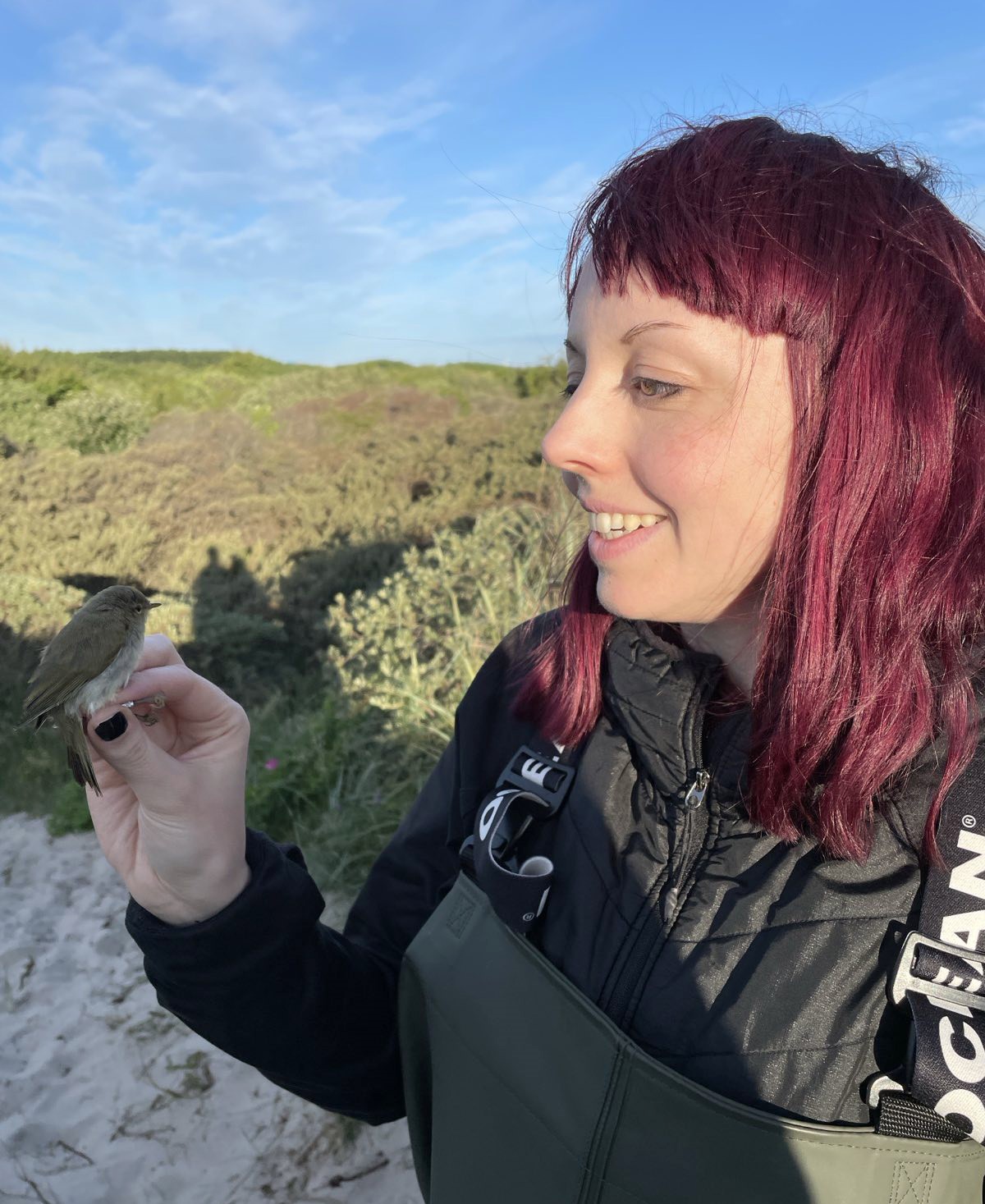 Part two of today's ringing team, Rika with a recaptured Chiffchaff