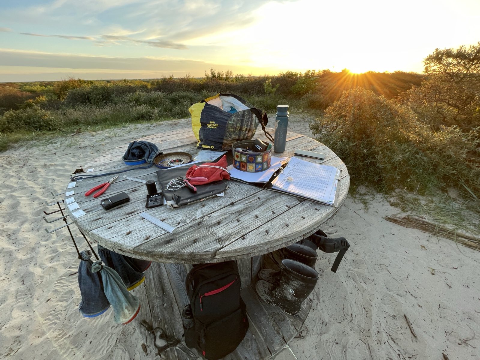 Our outdoor "office" in the morning sun