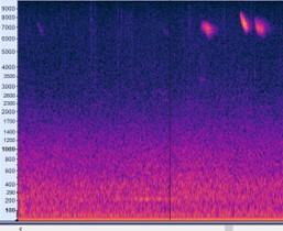 NOCMig_NOC_17112024.jpg