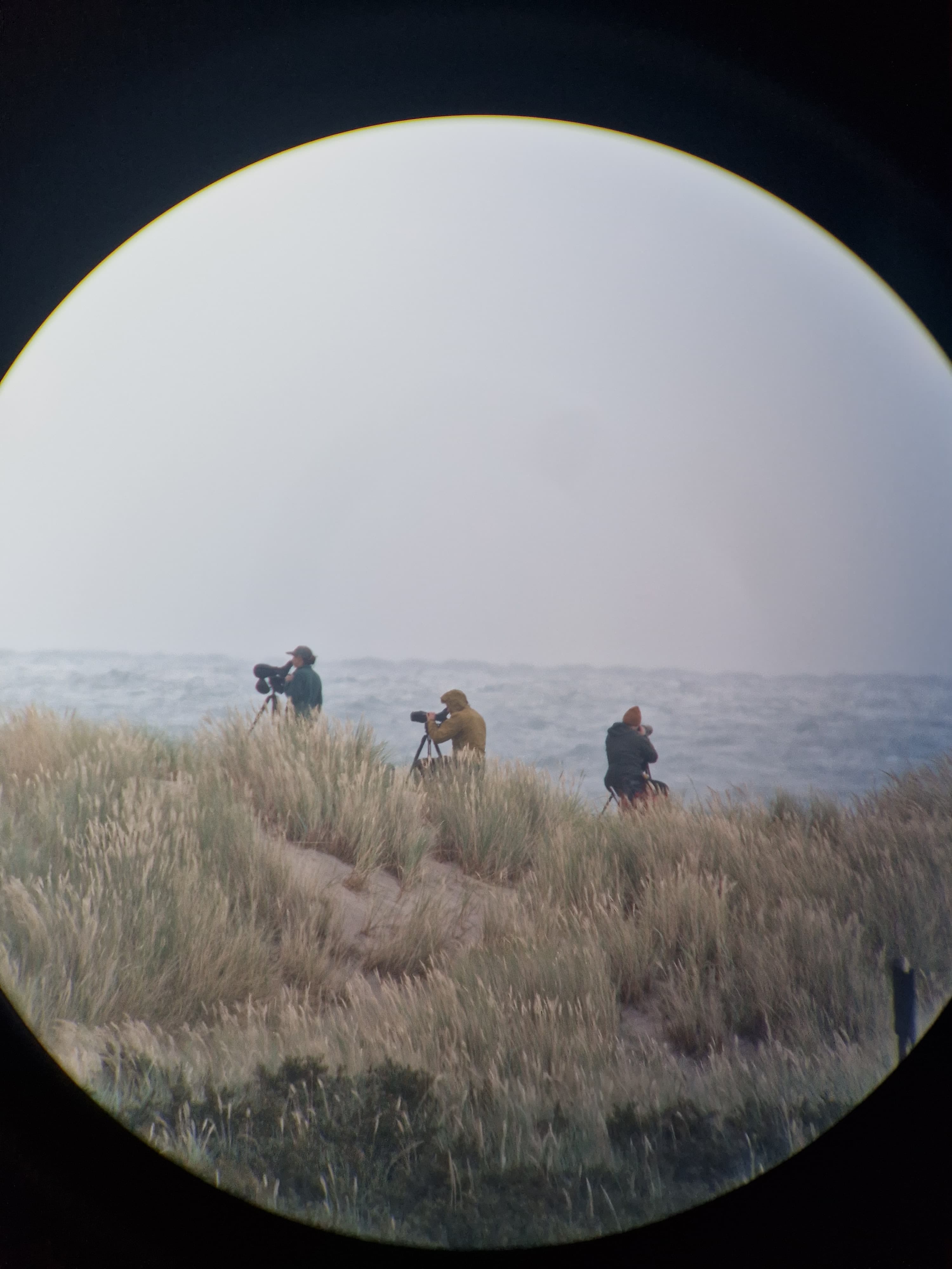 Spotters.jpg