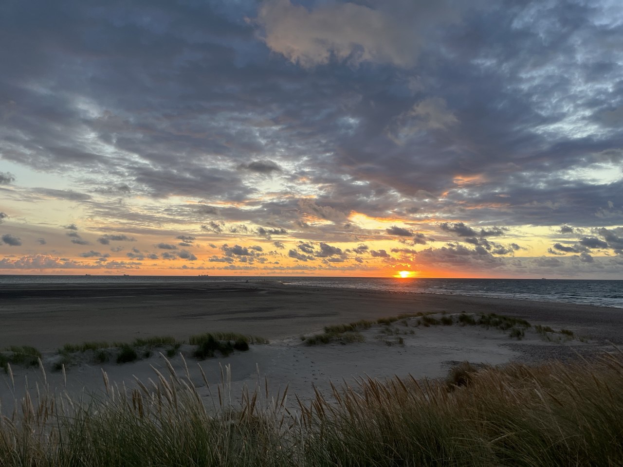Sunrise_15-09-2025_WE3.jpg