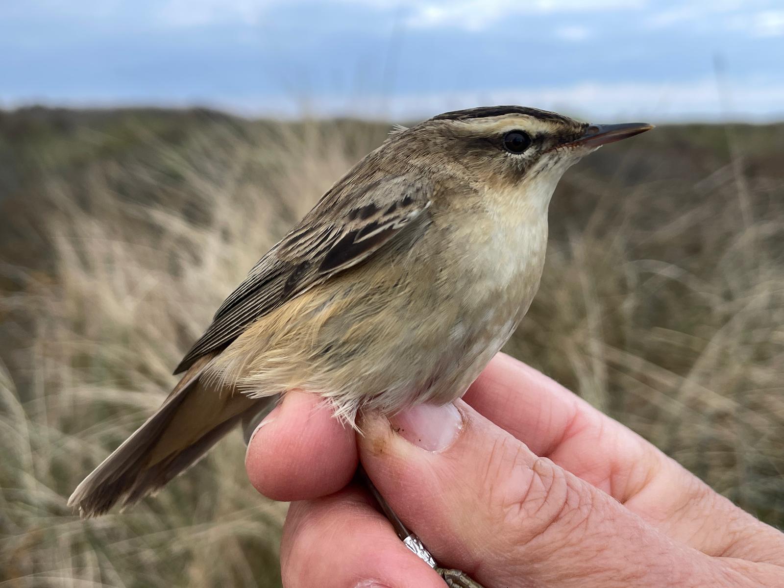 WhatsApp Image 2025 04 27 at 18.45.42