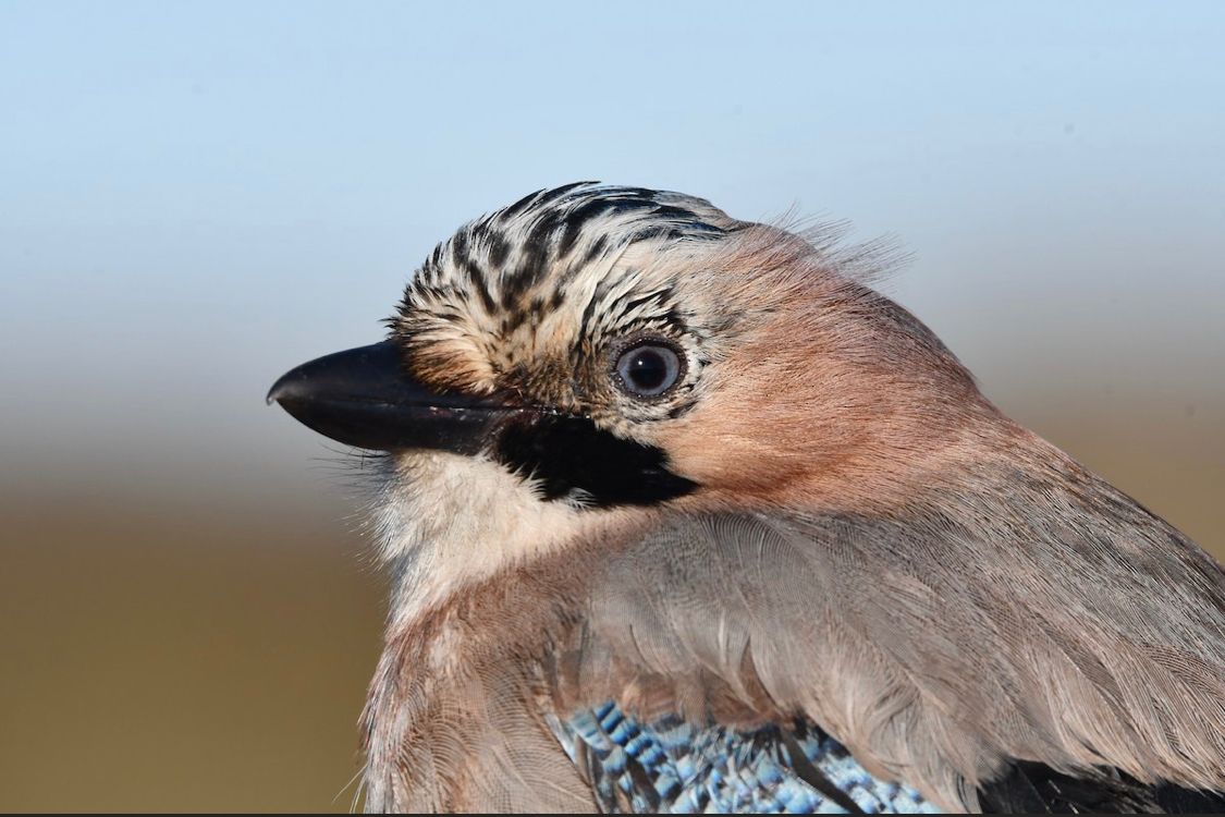 WhatsApp Image 2025 04 27 at 21.14.55 fafb41a4