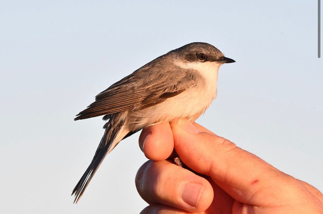 WhatsApp Image 2025 04 27 at 21.14.59 403c2c96