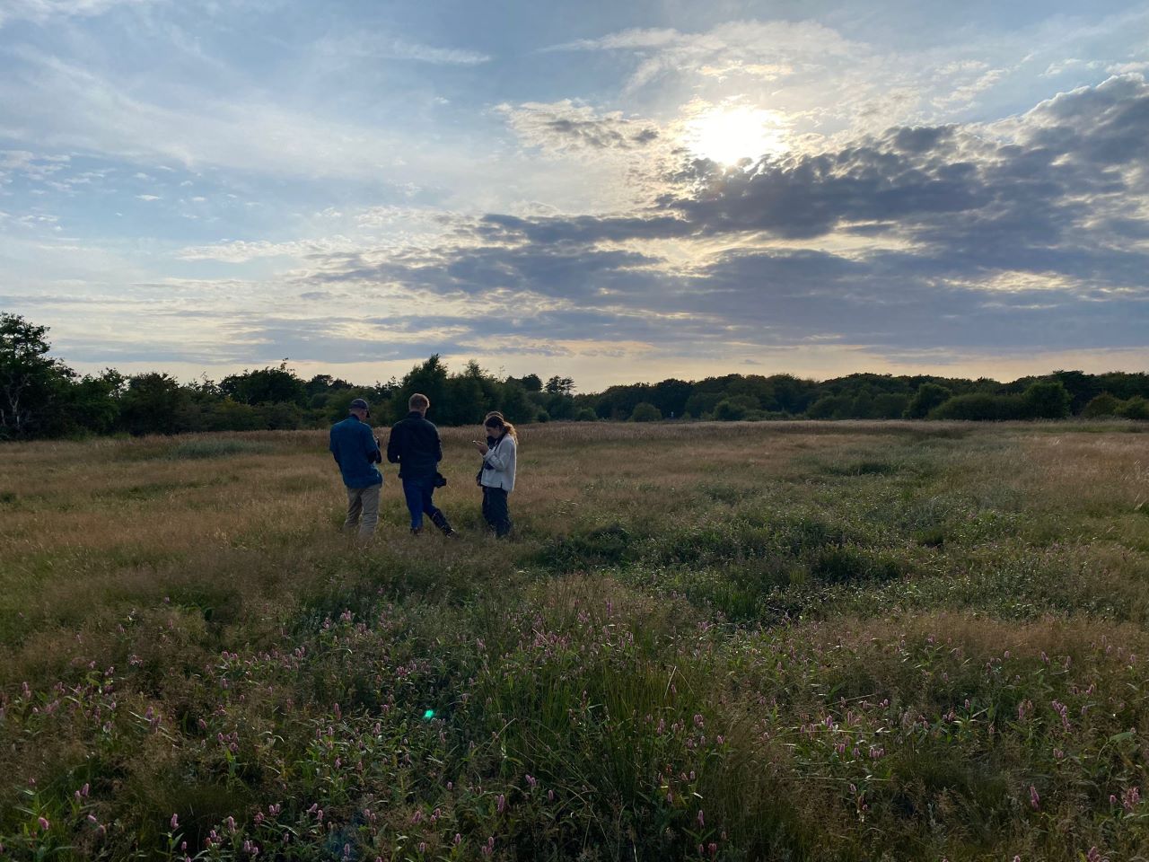 at glyvermarkner aug 13