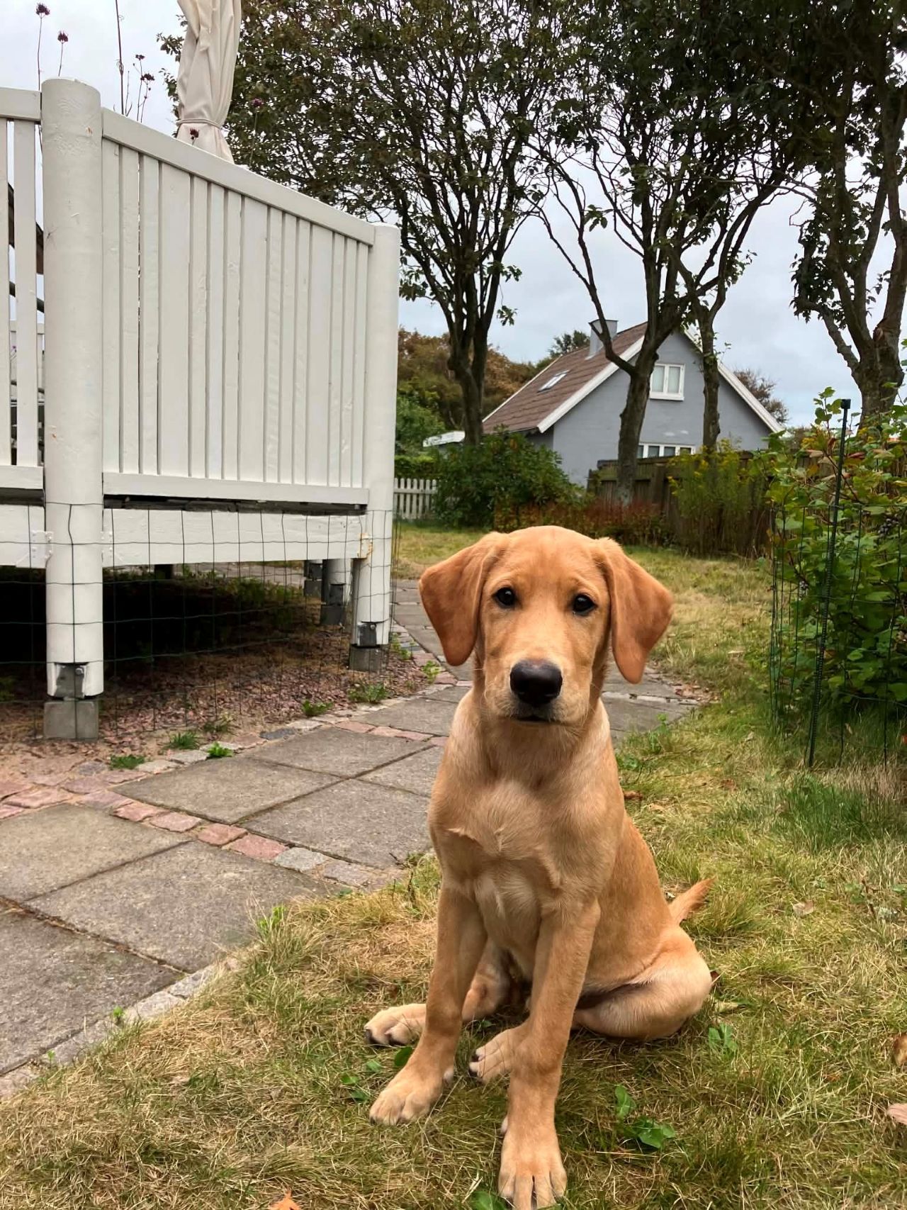 Odin finder Bryn 03 09 2026