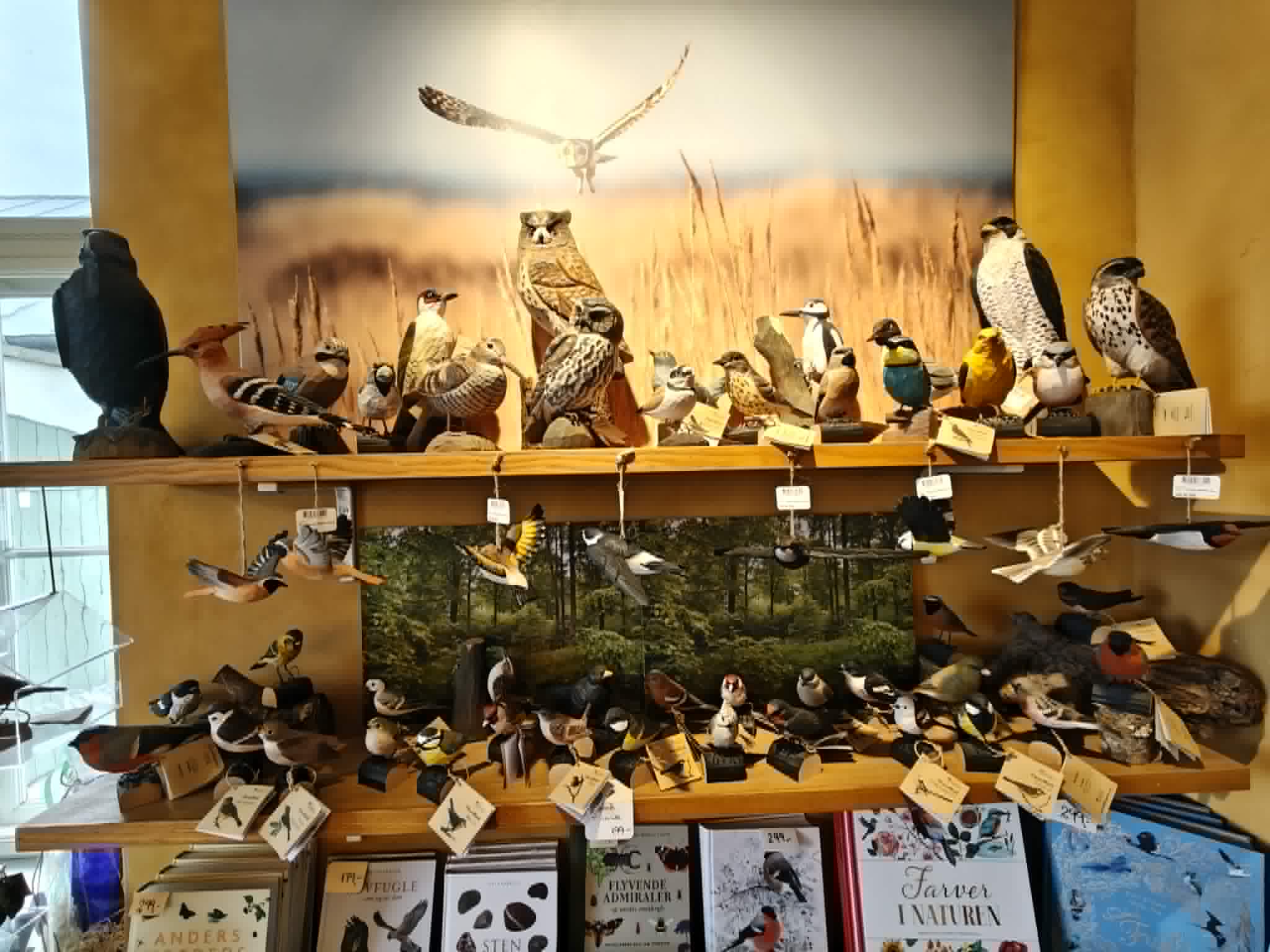 giftshopSkagen.jpg