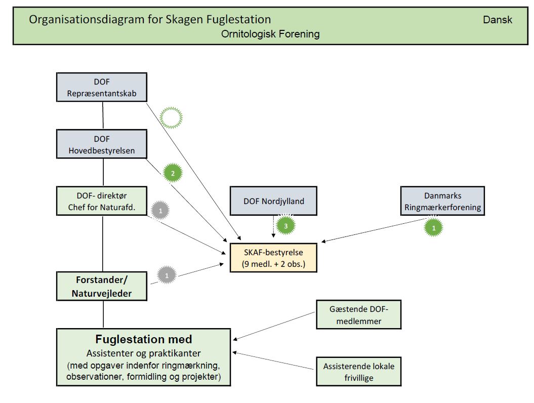 organisationsdiagram SKAF 2025